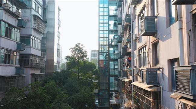 2024電梯行業(yè)新篇章：民族品牌加速趕超，LINVOL領(lǐng)沃引領(lǐng)新風(fēng)尚